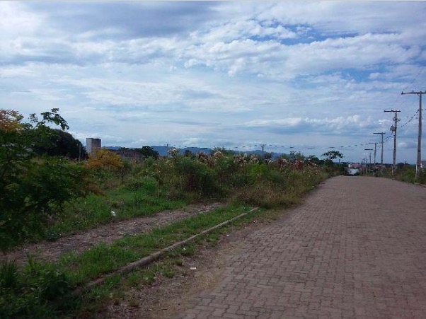 Venda Terrenos Santa Maria - RS